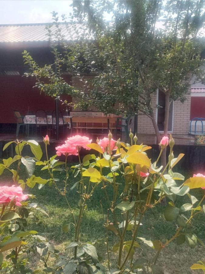 Villa Vilish Gabala Eksteriør bilde